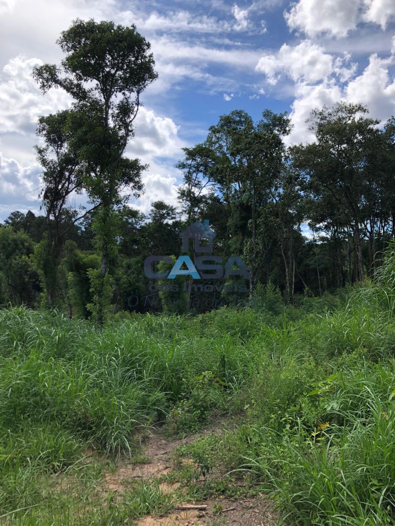 Excelente Terreno para Investimentos na Turística Rota do Vinho. — foto 2