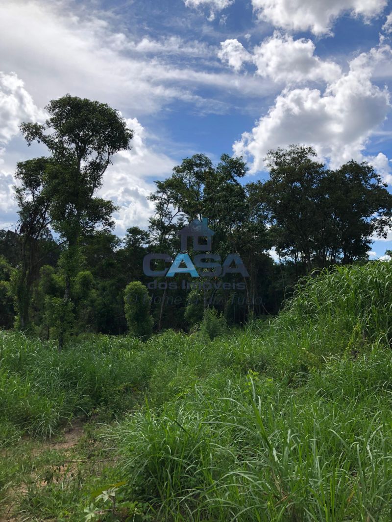 Excelente Terreno para Investimentos na Turística Rota do Vinho. — foto 3