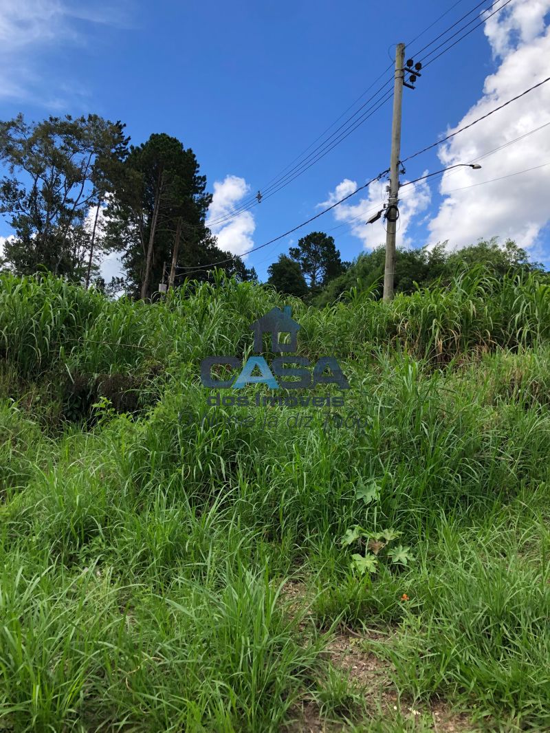 Excelente Terreno para Investimentos na Turística Rota do Vinho. — foto 5