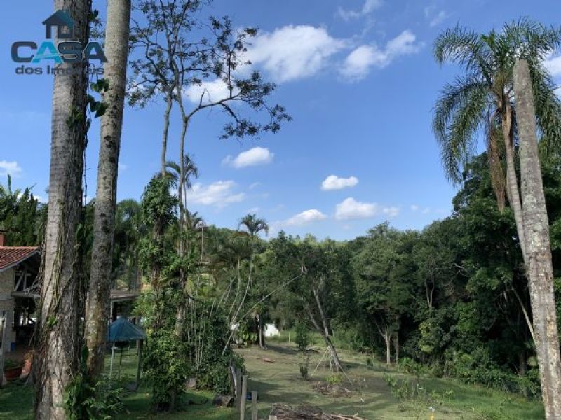 Lindo Sítio na Vila Darcy Penteado em São Roque. — foto 5